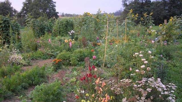 Гајење биља на природан начин (4) 